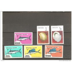Ficha de peces y conchas sin clasificar