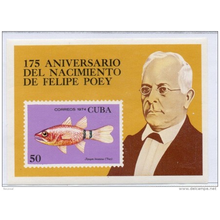 Hb41 cuba