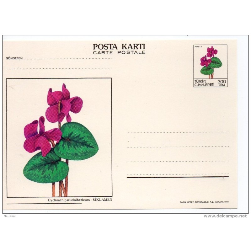 Tarjeta postal de turquia Tarjeta postal de turquia
