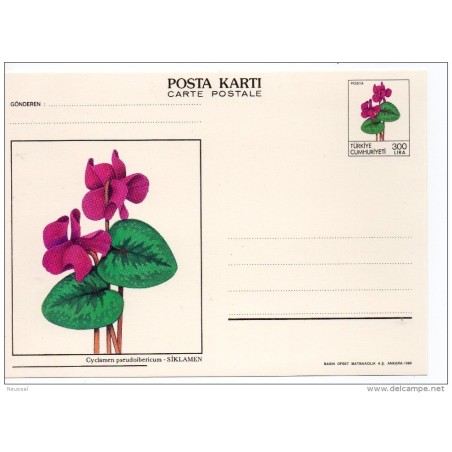 Tarjeta postal de turquia