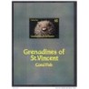Hb19 saint vicent de grenadines
