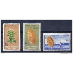 Serie n 173840 turquia