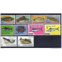 Ficha de peces