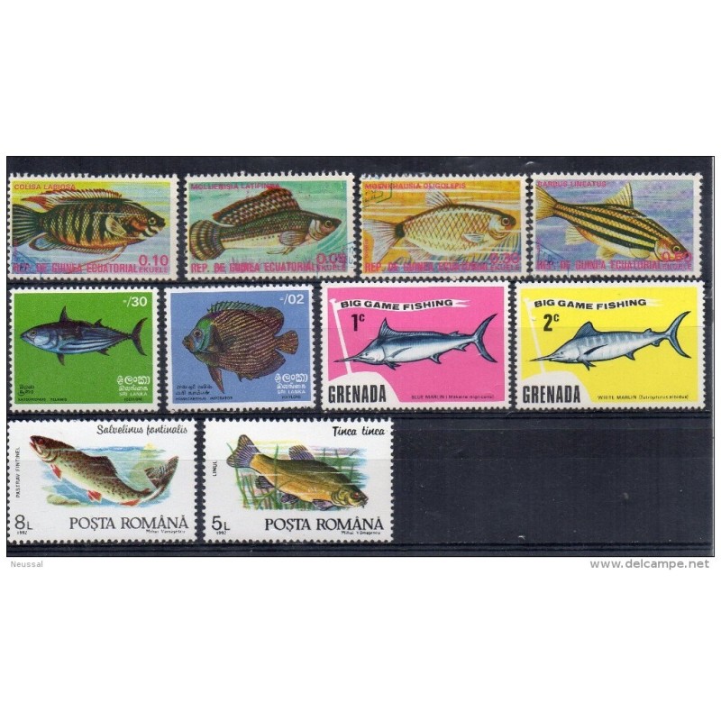Ficha de peces Ficha de peces