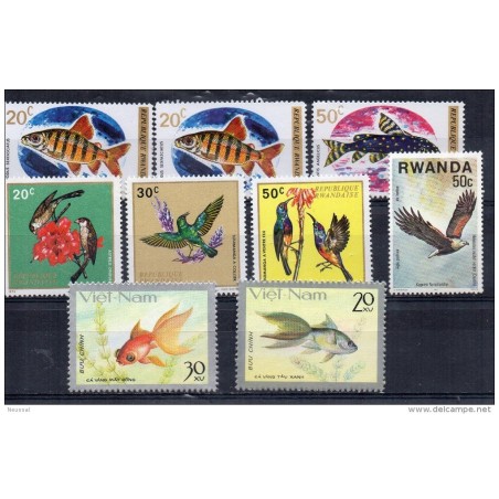 Ficha de peces1