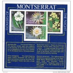 Hb13 montserrat
