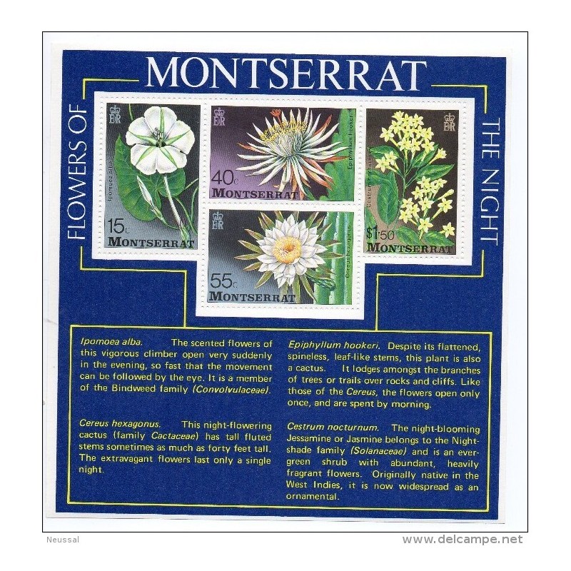 Hb13 montserrat