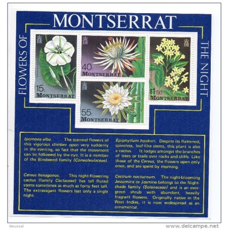 Hb13 montserrat