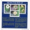 Hb13 montserrat