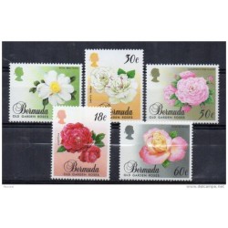 Serie n 54953 bermudas
