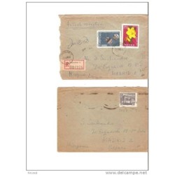2 sobres de polonia