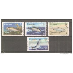 Serie n 2803 bermuda usado