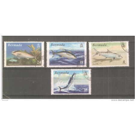 Serie n 2803 bermuda usado
