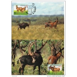 Serie de tarjeta postal  Angola 1990