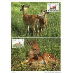 Serie de tarjeta postal  nederland antillen 1992