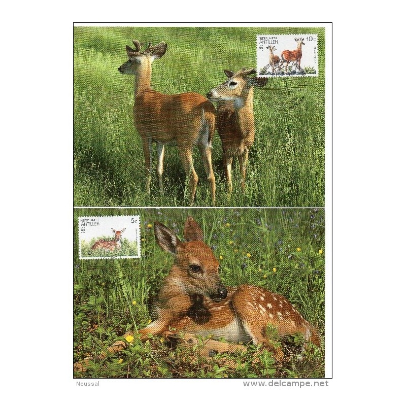 Serie de tarjeta postal nederland antillen 1992 Serie de tarjeta postal nederland antillen 1992