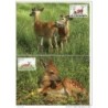 Serie de tarjeta postal  nederland antillen 1992