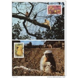 Serie de tarjeta postal   bhutan  1984