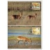 Serie de tarjeta postal   bostwana 1988