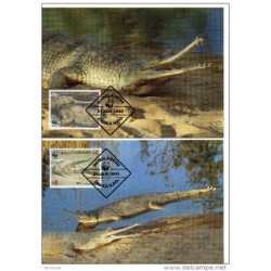Serie de tarjeta postal   bangladesh 1990