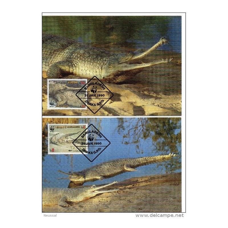 Serie de tarjeta postal bangladesh 1990 Serie de tarjeta postal bangladesh 1990