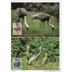 Serie de tarjeta postal   corea  1988
