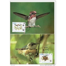 Serie de tarjeta postal  cuba 1992