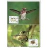 Serie de tarjeta postal  cuba 1992