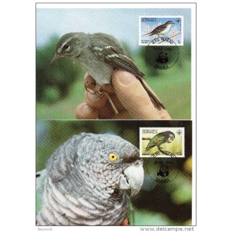 Serie de tarjeta postal  dominica 1984