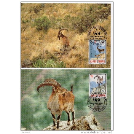 Serie de tarjeta postal  etiopia 1990