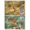 Serie de tarjeta postal  etiopia 1990