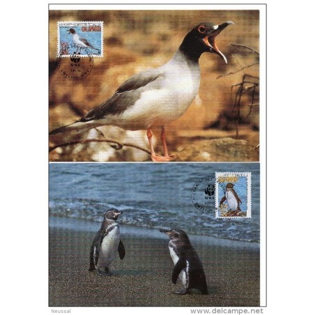 Serie de tarjeta postal  ecuador  1992
