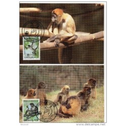 Serie de tarjeta postal  honduras 1990