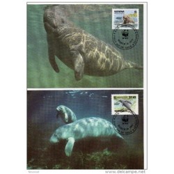 Serie de tarjeta postal  guyana  1993