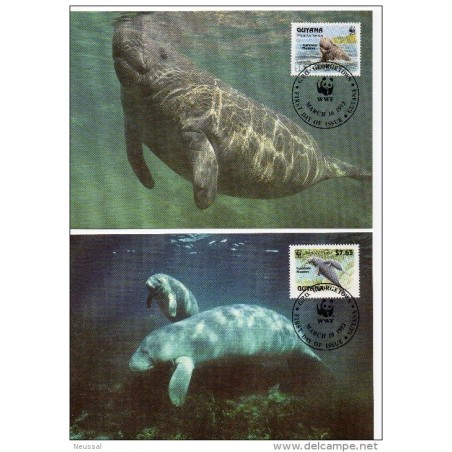 Serie de tarjeta postal  guyana  1993