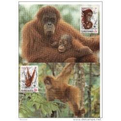 Serie de tarjeta postal  indonesia 1989