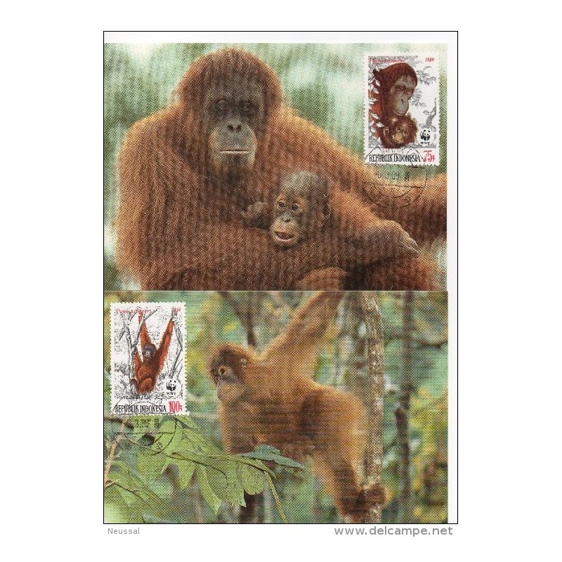 Serie de tarjeta postal indonesia 1989 Serie de tarjeta postal indonesia 1989