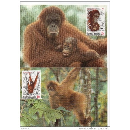 Serie de tarjeta postal  indonesia 1989