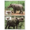 Serie de tarjeta postal  indonesia 1996