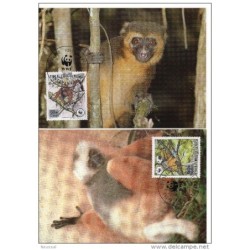 Serie de tarjeta postal  madagascar 1988
