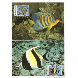 Serie de tarjeta postal  maldives 1986