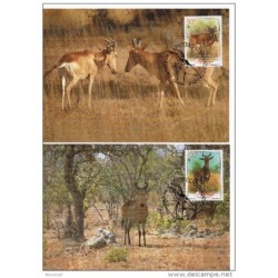 Serie de tarjeta postal  mozambique 1991