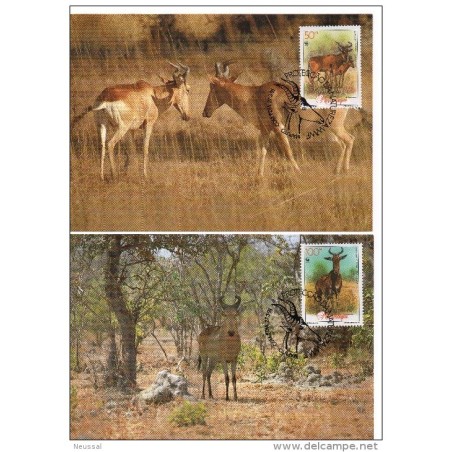 Serie de tarjeta postal  mozambique 1991