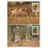 Serie de tarjeta postal  mozambique 1991