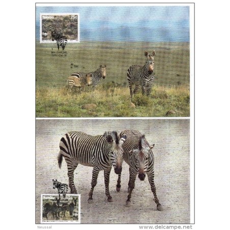 Serie de tarjeta postal  namibia 1991