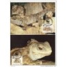 Serie de tarjeta postal  new zeland  1991