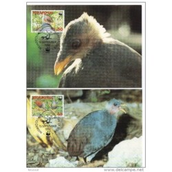 Serie de tarjeta postal  niufao 1992