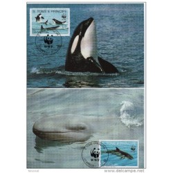 Serie de tarjeta postal  st  tome e principe 1992