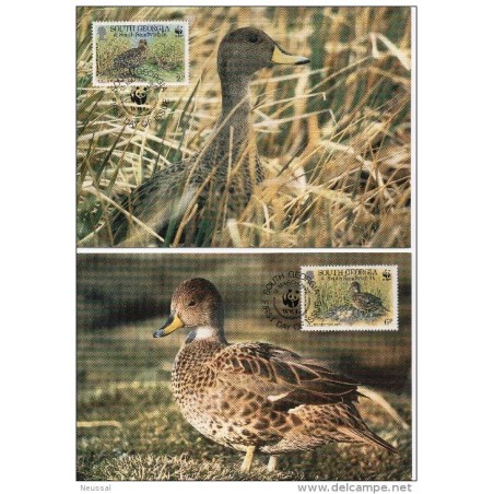 Serie de tarjeta postal  south georgia 1992