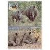 Serie de tarjeta postal  swaziland 1987